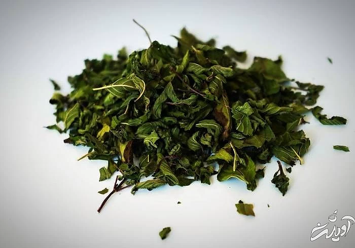 خشک کردن نعناع روش خشک کردن نعناع